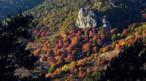 Tardor a cal rossa